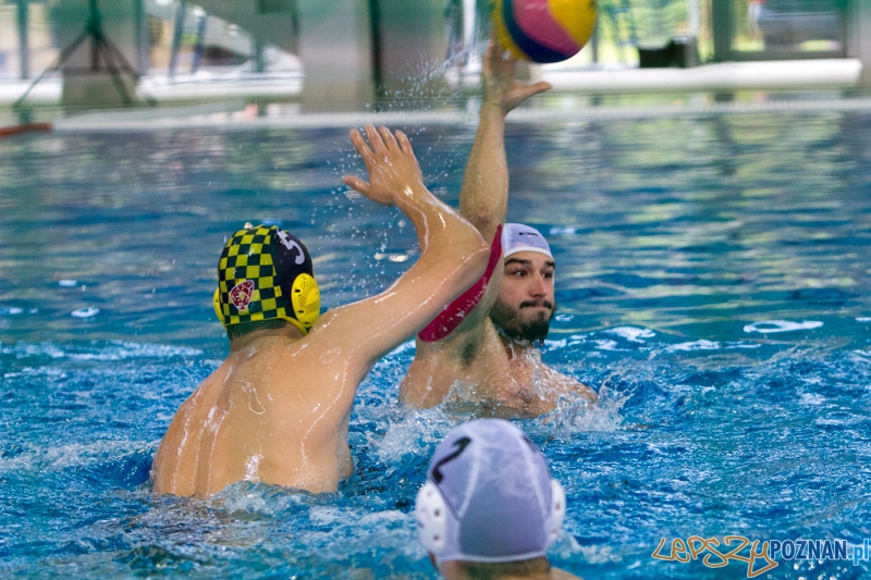 9 runda Mistrzostw Polski Seniorów w piłce wodnej - Alstal Waterpolo Poznań - ŁSTW Uniwersytet Łódzki Foto: lepszyPOZNAN.pl / Piotr Rychter 9 runda Mistrzostw Polski Seniorów w piłce wodnej - Alstal Waterpolo Poznań - ŁSTW Uniwersytet Łódzki Foto: lepszyPOZNAN.pl / Piotr Rychter