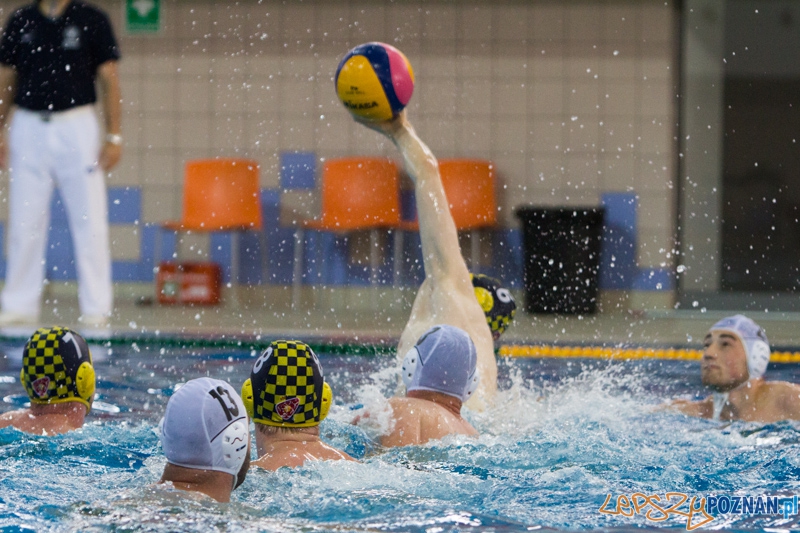 9 runda Mistrzostw Polski Seniorów w piłce wodnej - Alstal Waterpolo Poznań - ŁSTW Uniwersytet Łódzki Foto: lepszyPOZNAN.pl / Piotr Rychter 9 runda Mistrzostw Polski Seniorów w piłce wodnej - Alstal Waterpolo Poznań - ŁSTW Uniwersytet Łódzki Foto: lepszyPOZNAN.pl / Piotr Rychter