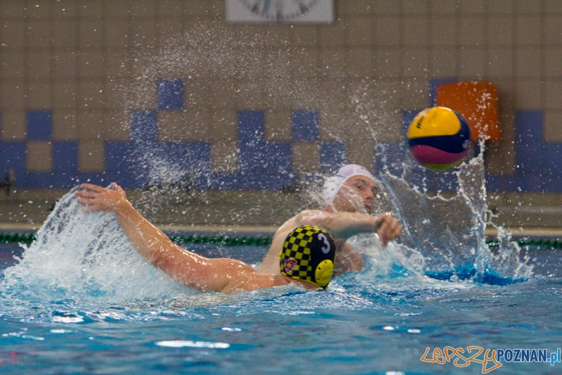 Alstal Waterpolo Poznań - ŁSTW Uniwersytet Łódzki, Termy Maltańskie 8.06.2013 r. Foto: lepszyPOZNAN.pl / Piotr Rychter Alstal Waterpolo Poznań - ŁSTW Uniwersytet Łódzki, Termy Maltańskie 8.06.2013 r. Foto: lepszyPOZNAN.pl / Piotr Rychter