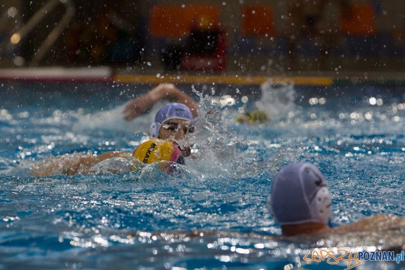 Alstal Waterpolo Poznań - ŁSTW Uniwersytet Łódzki, Termy Maltańskie 8.06.2013 r. Foto: lepszyPOZNAN.pl / Piotr Rychter Alstal Waterpolo Poznań - ŁSTW Uniwersytet Łódzki, Termy Maltańskie 8.06.2013 r. Foto: lepszyPOZNAN.pl / Piotr Rychter