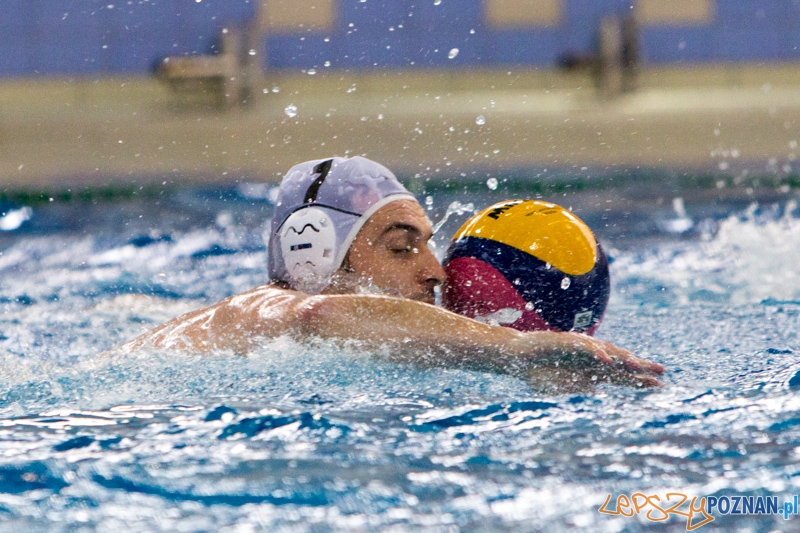 9 runda Mistrzostw Polski Seniorów w piłce wodnej - Alstal Waterpolo Poznań - ŁSTW Uniwersytet Łódzki Foto: lepszyPOZNAN.pl / Piotr Rychter 9 runda Mistrzostw Polski Seniorów w piłce wodnej - Alstal Waterpolo Poznań - ŁSTW Uniwersytet Łódzki Foto: lepszyPOZNAN.pl / Piotr Rychter