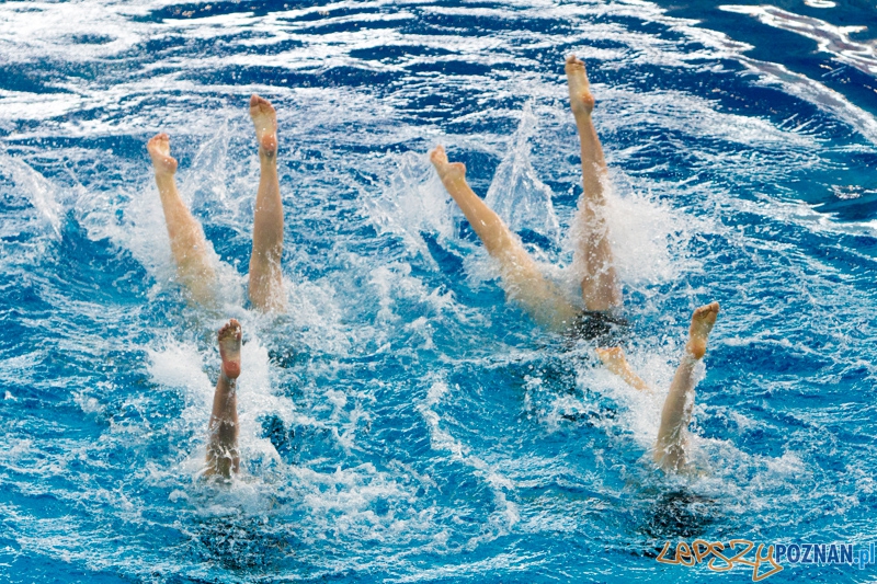 Mistrzostwa Polski Juniorek Młodszych w Pływaniu Synchronicznym - Termy Maltańskie 9.06.2013 r. Foto: lepszyPOZNAN.pl / Piotr Rychter Mistrzostwa Polski Juniorek Młodszych w Pływaniu Synchronicznym - Termy Maltańskie 9.06.2013 r. Foto: lepszyPOZNAN.pl / Piotr Rychter
