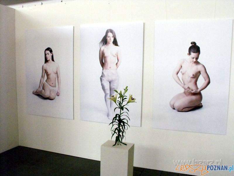 Dyplomy UAP 2013 Foto: lazarz.pl / Janusz Ludwiczak Dyplomy UAP 2013 Foto: lazarz.pl / Janusz Ludwiczak