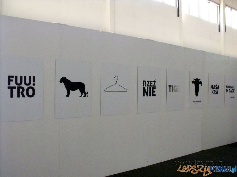 Dyplomy UAP 2013 Foto: lazarz.pl / Janusz Ludwiczak Dyplomy UAP 2013 Foto: lazarz.pl / Janusz Ludwiczak