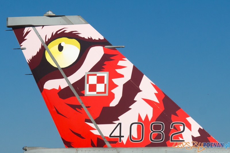 6. Eskadra Lotnicza przygotowuje się do wylotu na Nato Tiger Meet - 31. Baza Lotnictwa Taktycznego, Poznań - Krzesiny Foto: lepszyPOZNAN.pl / Piotr Rychter 6. Eskadra Lotnicza przygotowuje się do wylotu na Nato Tiger Meet - 31. Baza Lotnictwa Taktycznego, Poznań - Krzesiny Foto: lepszyPOZNAN.pl / Piotr Rychter