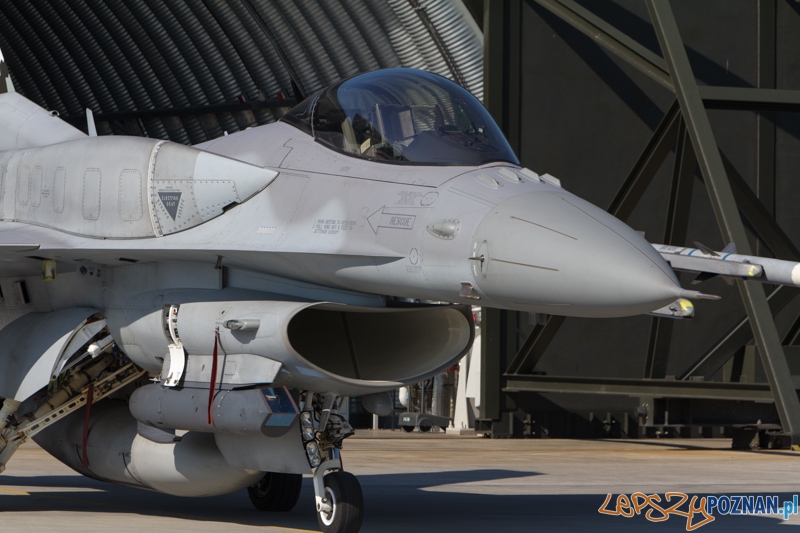 6. Eskadra Lotnicza przygotowuje się do wylotu na Nato Tiger Meet - 31. Baza Lotnictwa Taktycznego, Poznań - Krzesiny Foto: lepszyPOZNAN.pl / Piotr Rychter 6. Eskadra Lotnicza przygotowuje się do wylotu na Nato Tiger Meet - 31. Baza Lotnictwa Taktycznego, Poznań - Krzesiny Foto: lepszyPOZNAN.pl / Piotr Rychter