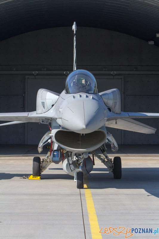 6. Eskadra Lotnicza przygotowuje się do wylotu na Nato Tiger Meet - 31. Baza Lotnictwa Taktycznego, Poznań - Krzesiny Foto: lepszyPOZNAN.pl / Piotr Rychter 6. Eskadra Lotnicza przygotowuje się do wylotu na Nato Tiger Meet - 31. Baza Lotnictwa Taktycznego, Poznań - Krzesiny Foto: lepszyPOZNAN.pl / Piotr Rychter