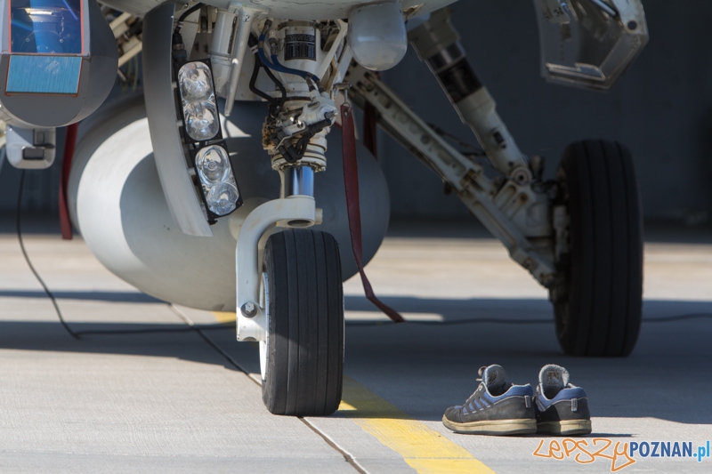 6. Eskadra Lotnicza przygotowuje się do wylotu na Nato Tiger Meet - 31. Baza Lotnictwa Taktycznego, Poznań - Krzesiny Foto: lepszyPOZNAN.pl / Piotr Rychter 6. Eskadra Lotnicza przygotowuje się do wylotu na Nato Tiger Meet - 31. Baza Lotnictwa Taktycznego, Poznań - Krzesiny Foto: lepszyPOZNAN.pl / Piotr Rychter