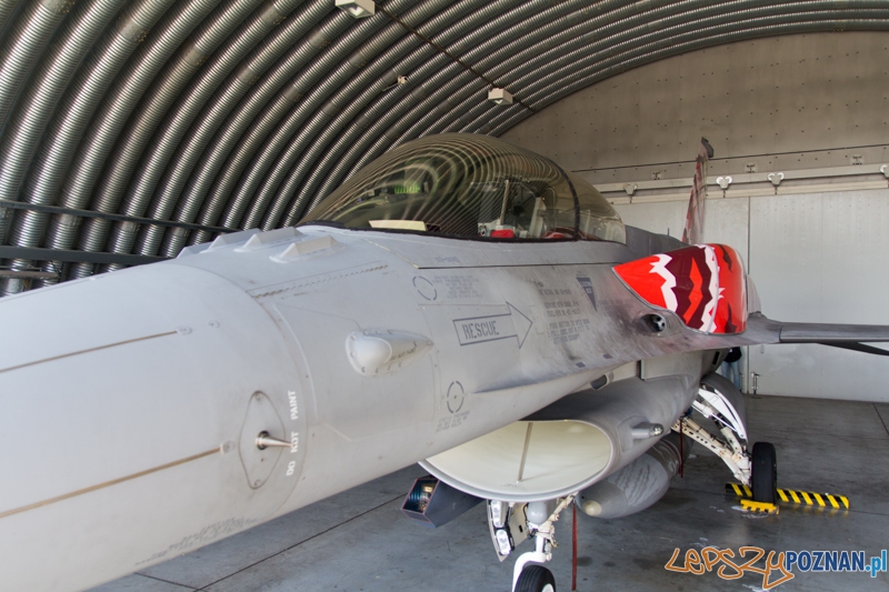 6. Eskadra Lotnicza przygotowuje się do wylotu na Nato Tiger Meet - 31. Baza Lotnictwa Taktycznego, Poznań - Krzesiny Foto: lepszyPOZNAN.pl / Piotr Rychter 6. Eskadra Lotnicza przygotowuje się do wylotu na Nato Tiger Meet - 31. Baza Lotnictwa Taktycznego, Poznań - Krzesiny Foto: lepszyPOZNAN.pl / Piotr Rychter