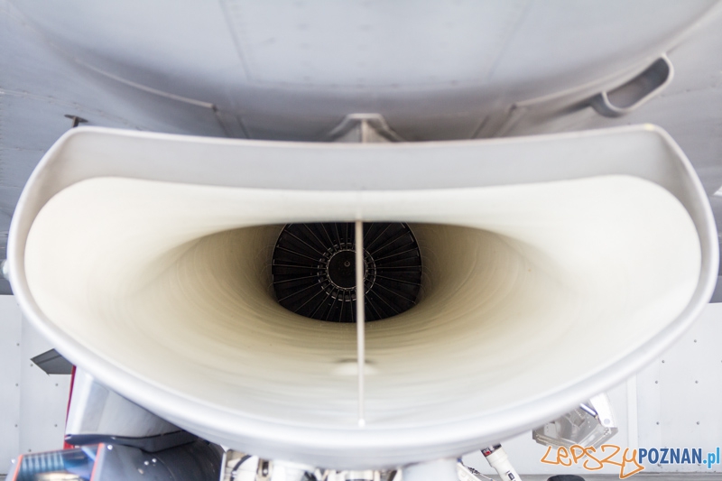 6. Eskadra Lotnicza przygotowuje się do wylotu na Nato Tiger Meet - 31. Baza Lotnictwa Taktycznego, Poznań - Krzesiny Foto: lepszyPOZNAN.pl / Piotr Rychter 6. Eskadra Lotnicza przygotowuje się do wylotu na Nato Tiger Meet - 31. Baza Lotnictwa Taktycznego, Poznań - Krzesiny Foto: lepszyPOZNAN.pl / Piotr Rychter