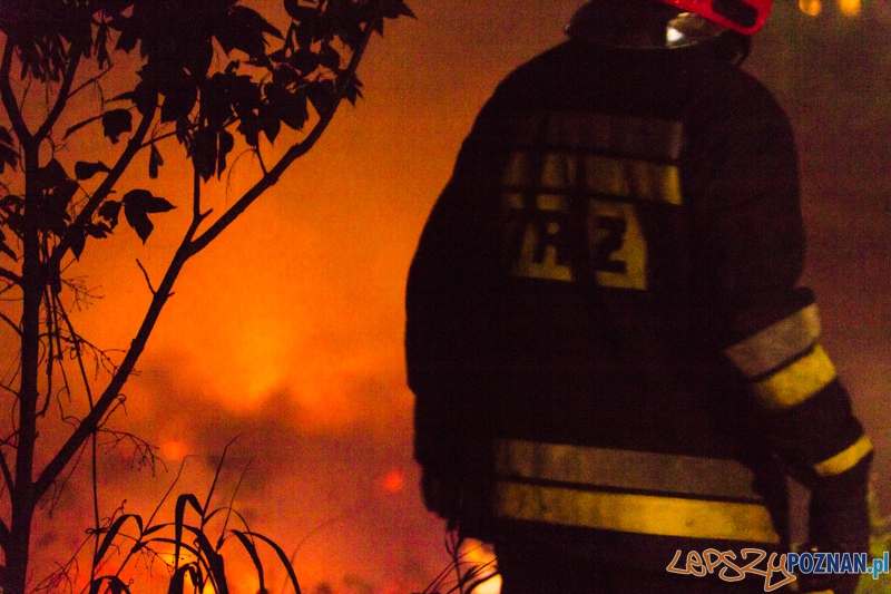 Noc Kupały - 21.06.2013 r. Foto: lepszyPOZNAN.pl / Piotr Rychter Noc Kupały - 21.06.2013 r. Foto: lepszyPOZNAN.pl / Piotr Rychter
