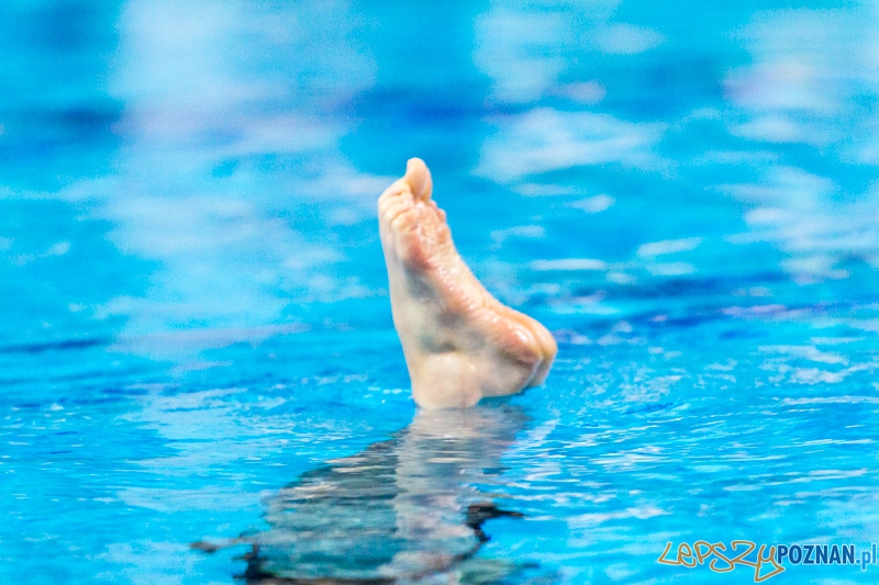 Mistrzostwa Polski Juniorek Młodszych w Pływaniu Synchronicznym - Termy Maltańskie 8.06.2013 r. Foto: lepszyPOZNAN.pl / Piotr Rychter Mistrzostwa Polski Juniorek Młodszych w Pływaniu Synchronicznym - Termy Maltańskie 8.06.2013 r. Foto: lepszyPOZNAN.pl / Piotr Rychter