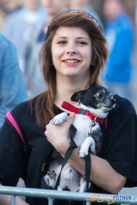 Red Bull Tour Bus - Poznań 10.06.2013 r. Foto: lepszyPOZNAN.pl / Piotr Rychter Red Bull Tour Bus - Poznań 10.06.2013 r. Foto: lepszyPOZNAN.pl / Piotr Rychter