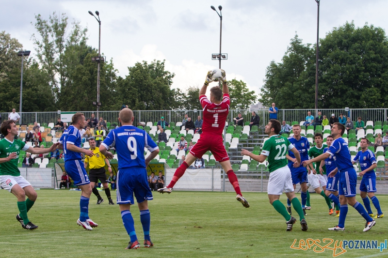 33. kolejka I ligii - Warta Poznań - Miedź Legnica Foto: lepszyPOZNAN.pl / Piotr Rychter 33. kolejka I ligii - Warta Poznań - Miedź Legnica Foto: lepszyPOZNAN.pl / Piotr Rychter