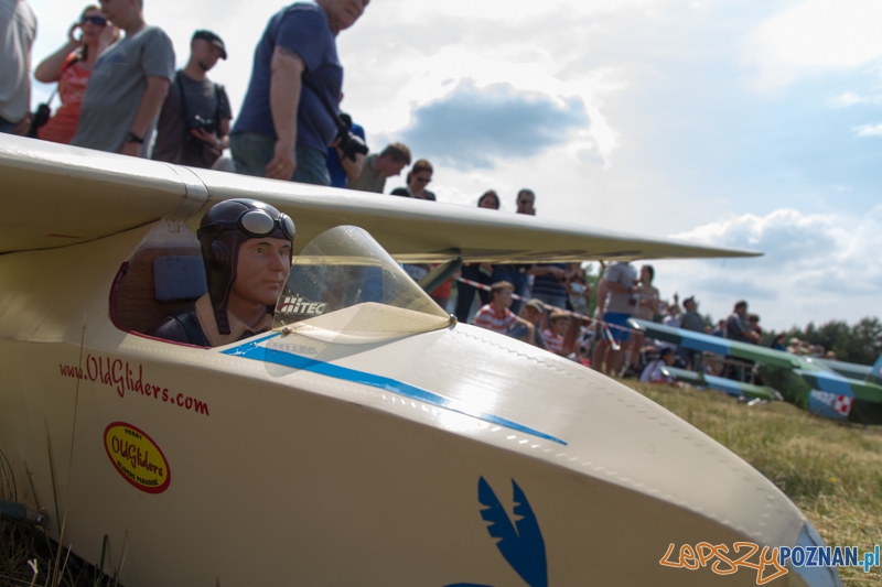 6. Zlot Gigantów - Lotnisko Aeroklubu Poznańskiego - 9.06.2013 r. Foto: lepszyPOZNAN.pl / Piotr Rychter 6. Zlot Gigantów - Lotnisko Aeroklubu Poznańskiego - 9.06.2013 r. Foto: lepszyPOZNAN.pl / Piotr Rychter
