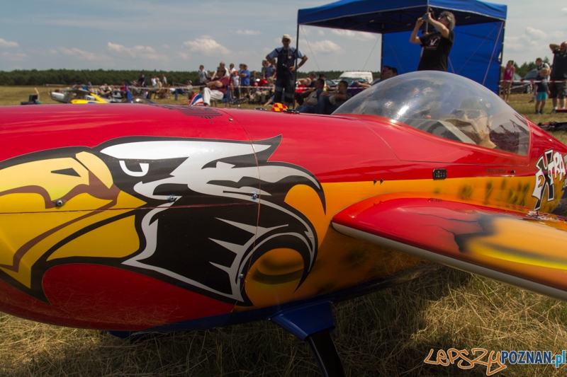 6. Zlot Gigantów - Lotnisko Aeroklubu Poznańskiego - 9.06.2013 r. Foto: lepszyPOZNAN.pl / Piotr Rychter 6. Zlot Gigantów - Lotnisko Aeroklubu Poznańskiego - 9.06.2013 r. Foto: lepszyPOZNAN.pl / Piotr Rychter