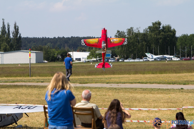 6. Zlot Gigantów - Lotnisko Aeroklubu Poznańskiego - 9.06.2013 r. Foto: lepszyPOZNAN.pl / Piotr Rychter 6. Zlot Gigantów - Lotnisko Aeroklubu Poznańskiego - 9.06.2013 r. Foto: lepszyPOZNAN.pl / Piotr Rychter