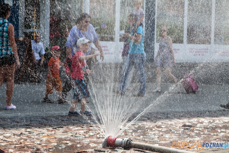 Upalne dni - jak sobie radzić w mieście? Foto: LepszyPOZNAN.pl / Paweł Rychter Upalne dni - jak sobie radzić w mieście? Foto: LepszyPOZNAN.pl / Paweł Rychter