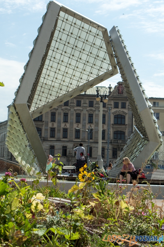 Upalne dni - jak sobie radzić w mieście? Foto: LepszyPOZNAN.pl / Paweł Rychter Upalne dni - jak sobie radzić w mieście? Foto: LepszyPOZNAN.pl / Paweł Rychter