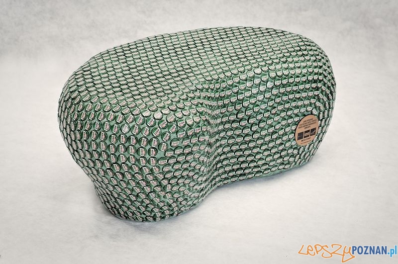 Lawka Zubr Foto: materiały prasowe Lawka Zubr Foto: materiały prasowe