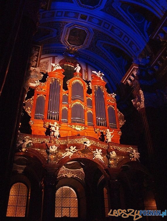 Organy w Farze  Foto: organy farne/facebook