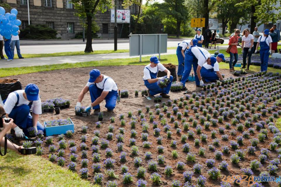 Think Blue w Parku Marcinkowskiego Foto: materiały prasowe Think Blue w Parku Marcinkowskiego Foto: materiały prasowe