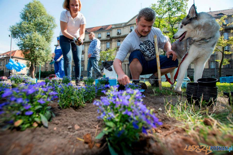 Think Blue Foto: materiały prasowe Think Blue Foto: materiały prasowe
