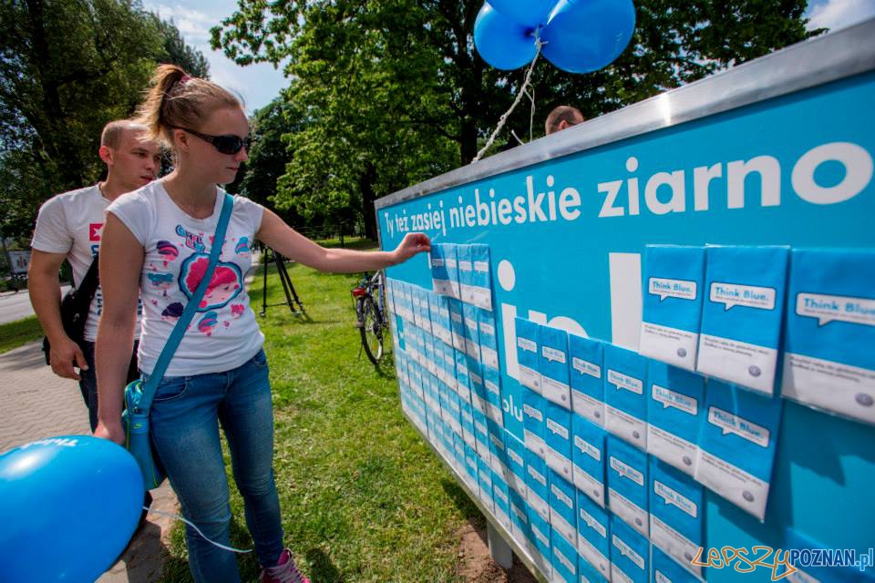 Ziarna niezapominajki Foto: materiały prasowe Ziarna niezapominajki Foto: materiały prasowe