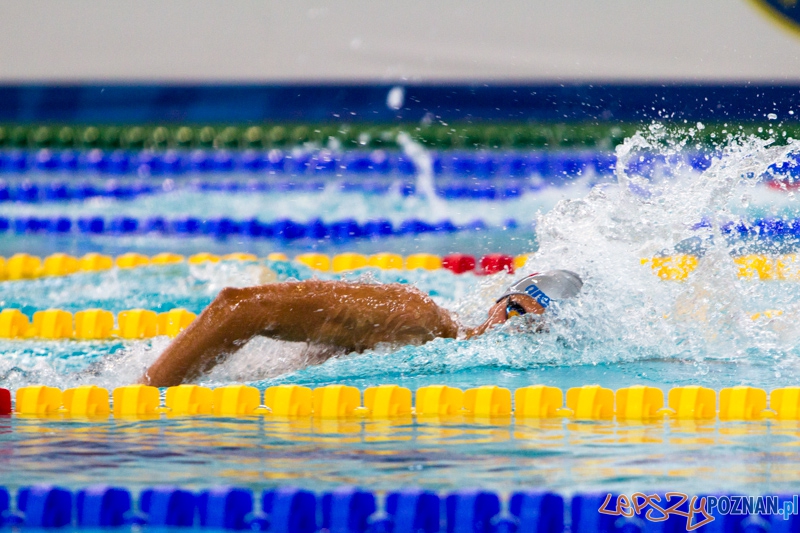 Mistrzostwa Europy Juniorów w Pływaniu - Termy Maltańskie Foto: lepszyPOZNAN.pl / Piotr Rychter Mistrzostwa Europy Juniorów w Pływaniu - Termy Maltańskie Foto: lepszyPOZNAN.pl / Piotr Rychter