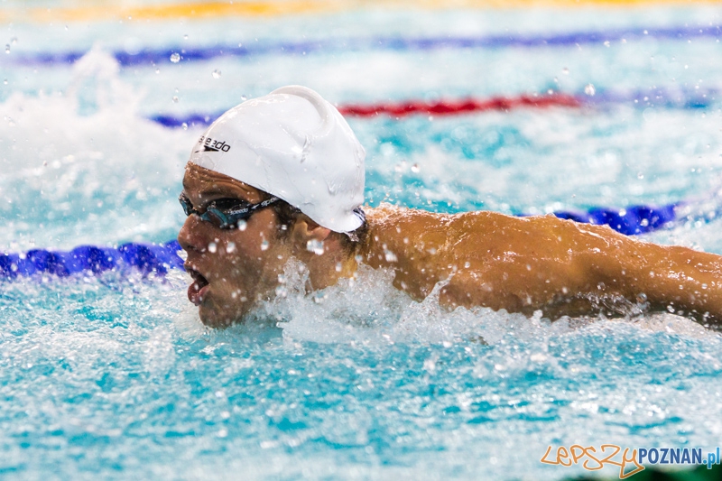 Mistrzostwa Europy Juniorów w Pływaniu - Termy Maltańskie Foto: lepszyPOZNAN.pl / Piotr Rychter Mistrzostwa Europy Juniorów w Pływaniu - Termy Maltańskie Foto: lepszyPOZNAN.pl / Piotr Rychter