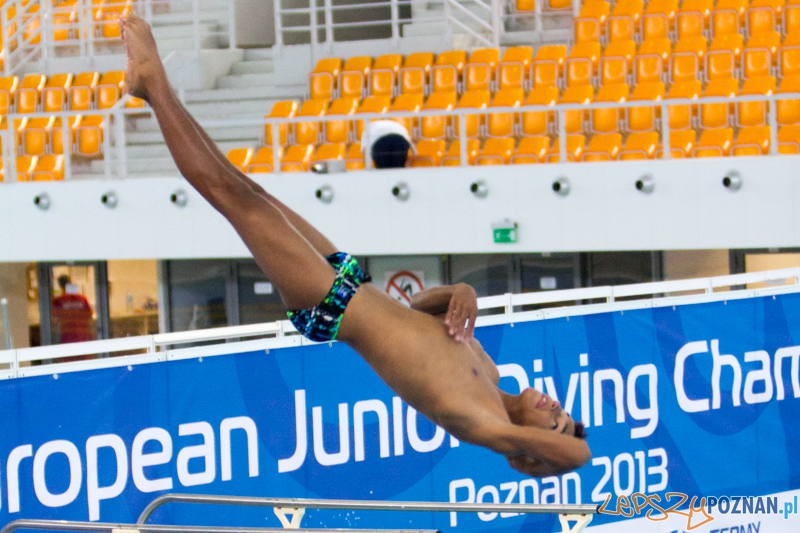 Mistrzostwa Europy Juniorów w Skokach do wody (trampolina 1m) - Termy Maltańskie Foto: lepszyPOZNAN.pl / Piotr Rychter Mistrzostwa Europy Juniorów w Skokach do wody (trampolina 1m) - Termy Maltańskie Foto: lepszyPOZNAN.pl / Piotr Rychter