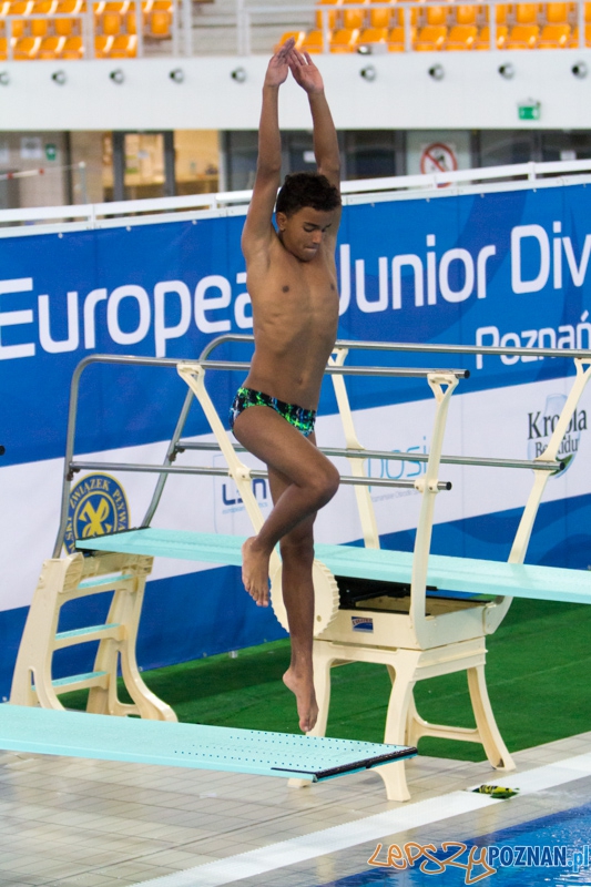 Mistrzostwa Europy Juniorów w Skokach do wody (trampolina 1m) - Termy Maltańskie Foto: lepszyPOZNAN.pl / Piotr Rychter Mistrzostwa Europy Juniorów w Skokach do wody (trampolina 1m) - Termy Maltańskie Foto: lepszyPOZNAN.pl / Piotr Rychter