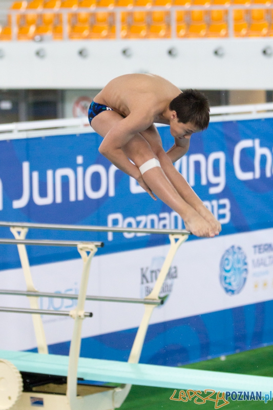 Mistrzostwa Europy Juniorów w Skokach do wody (trampolina 1m) - Termy Maltańskie Foto: lepszyPOZNAN.pl / Piotr Rychter Mistrzostwa Europy Juniorów w Skokach do wody (trampolina 1m) - Termy Maltańskie Foto: lepszyPOZNAN.pl / Piotr Rychter