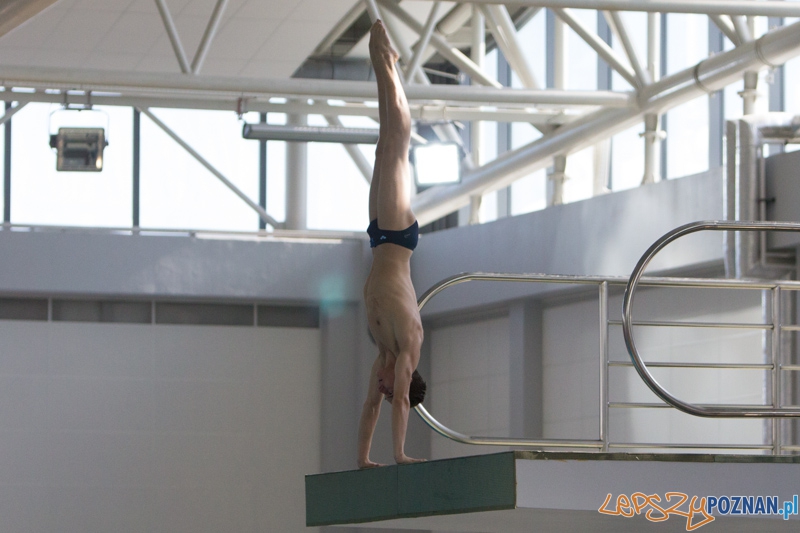 Mistrzostwa Europy Juniorów w Skokach do wody - finał wieża mężczyzn - Termy Maltańskie Foto: lepszyPOZNAN.pl / Piotr Rychter Mistrzostwa Europy Juniorów w Skokach do wody - finał wieża mężczyzn - Termy Maltańskie Foto: lepszyPOZNAN.pl / Piotr Rychter