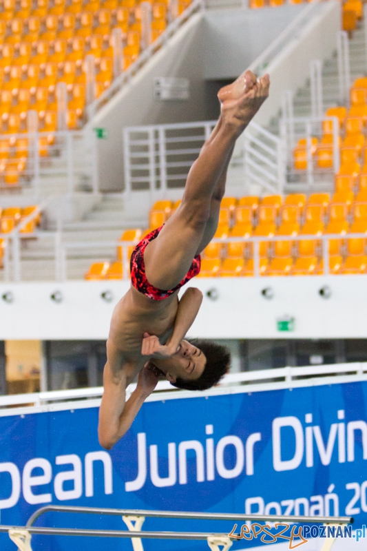 Mistrzostwa Europy Juniorów w Skokach do wody (trampolina 1m) - Termy Maltańskie Foto: lepszyPOZNAN.pl / Piotr Rychter Mistrzostwa Europy Juniorów w Skokach do wody (trampolina 1m) - Termy Maltańskie Foto: lepszyPOZNAN.pl / Piotr Rychter