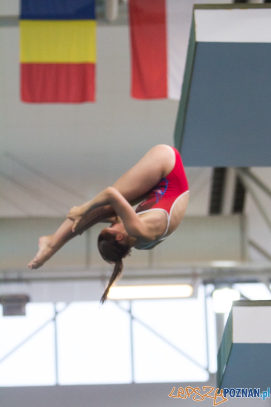 Mistrzostwa Europy Juniorów w Skokach do wody (skoki z wieży) - Termy Maltańskie Foto: lepszyPOZNAN.pl / Piotr Rychter Mistrzostwa Europy Juniorów w Skokach do wody (skoki z wieży) - Termy Maltańskie Foto: lepszyPOZNAN.pl / Piotr Rychter