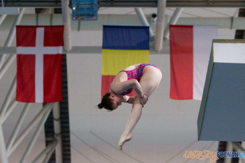 Mistrzostwa Europy Juniorów w Skokach do wody (skoki z wieży) - Termy Maltańskie Foto: lepszyPOZNAN.pl / Piotr Rychter Mistrzostwa Europy Juniorów w Skokach do wody (skoki z wieży) - Termy Maltańskie Foto: lepszyPOZNAN.pl / Piotr Rychter