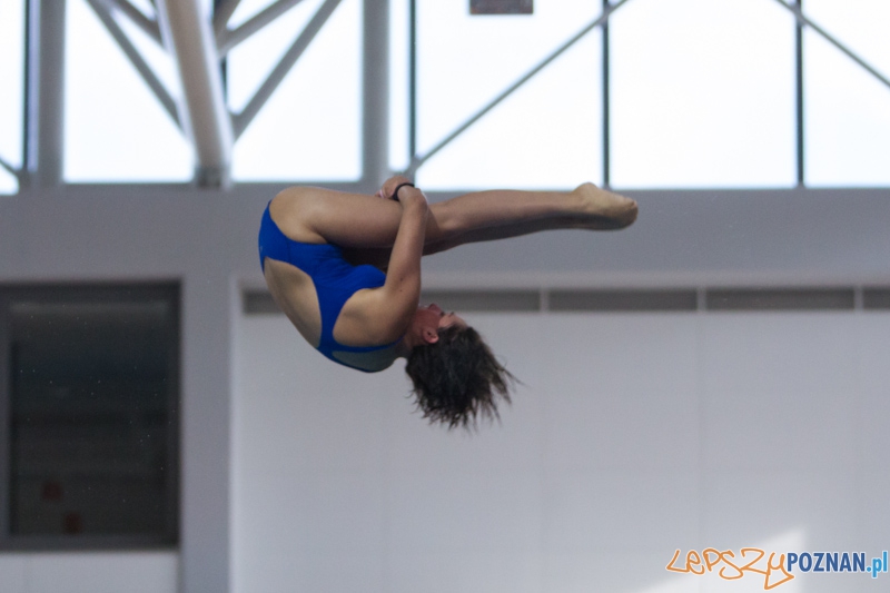 Mistrzostwa Europy Juniorów w Skokach do wody (skoki z wieży) - Termy Maltańskie Foto: lepszyPOZNAN.pl / Piotr Rychter Mistrzostwa Europy Juniorów w Skokach do wody (skoki z wieży) - Termy Maltańskie Foto: lepszyPOZNAN.pl / Piotr Rychter