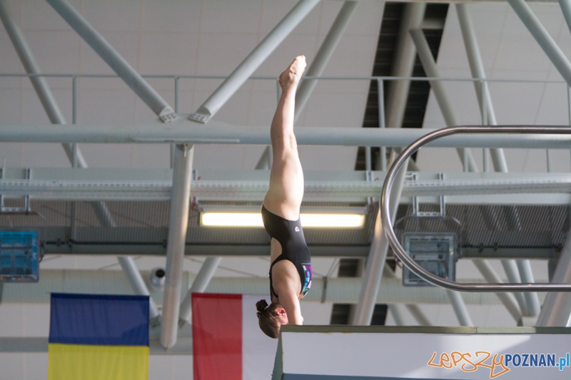 Mistrzostwa Europy Juniorów w Skokach do wody (skoki z wieży) - Termy Maltańskie Foto: lepszyPOZNAN.pl / Piotr Rychter Mistrzostwa Europy Juniorów w Skokach do wody (skoki z wieży) - Termy Maltańskie Foto: lepszyPOZNAN.pl / Piotr Rychter