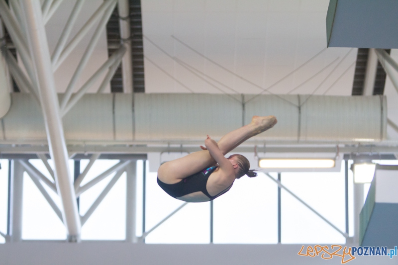 Mistrzostwa Europy Juniorów w Skokach do wody (skoki z wieży) - Termy Maltańskie Foto: lepszyPOZNAN.pl / Piotr Rychter Mistrzostwa Europy Juniorów w Skokach do wody (skoki z wieży) - Termy Maltańskie Foto: lepszyPOZNAN.pl / Piotr Rychter