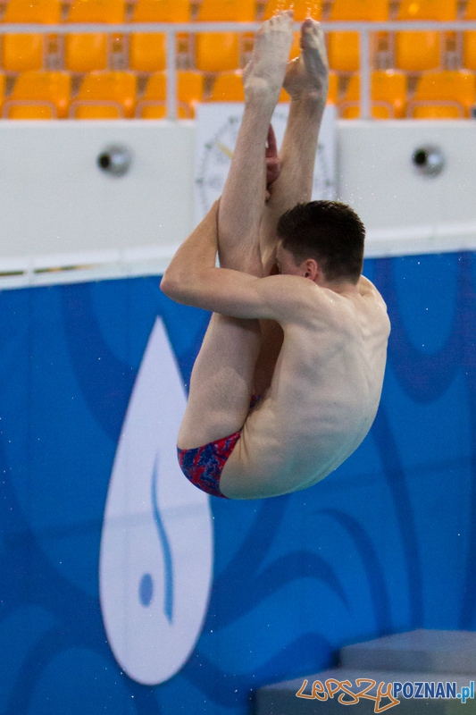 Mistrzostwa Europy Juniorów w Skokach do wody (trampolina 1m) - Termy Maltańskie Foto: lepszyPOZNAN.pl / Piotr Rychter Mistrzostwa Europy Juniorów w Skokach do wody (trampolina 1m) - Termy Maltańskie Foto: lepszyPOZNAN.pl / Piotr Rychter