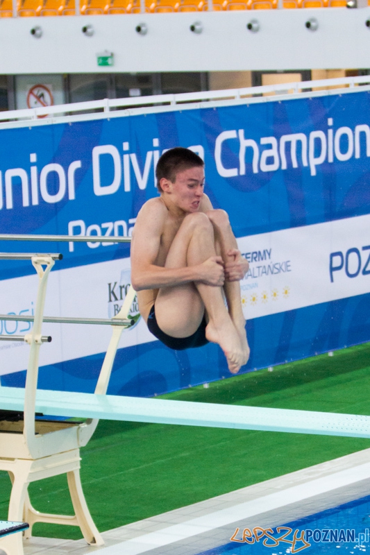 Mistrzostwa Europy Juniorów w Skokach do wody (trampolina 1m) - Termy Maltańskie Foto: lepszyPOZNAN.pl / Piotr Rychter Mistrzostwa Europy Juniorów w Skokach do wody (trampolina 1m) - Termy Maltańskie Foto: lepszyPOZNAN.pl / Piotr Rychter