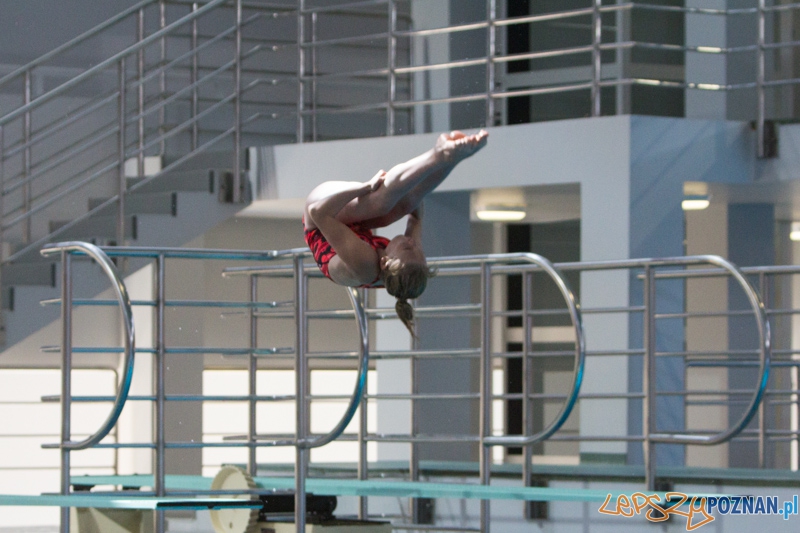 Mistrzostwa Europy Juniorów w Skokach do wody - finał 3 metry Kobiet - Termy Maltańskie Foto: lepszyPOZNAN.pl / Piotr Rychter Mistrzostwa Europy Juniorów w Skokach do wody - finał 3 metry Kobiet - Termy Maltańskie Foto: lepszyPOZNAN.pl / Piotr Rychter