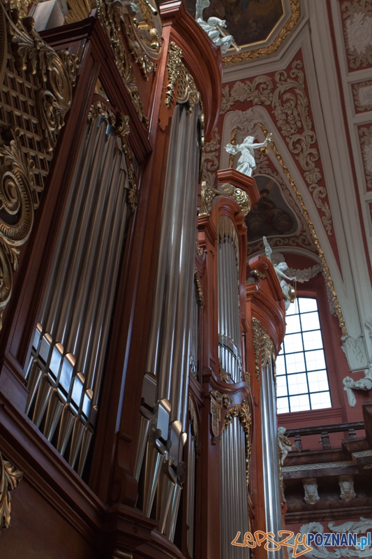 Festyn Warkocz Magdaleny - dziedziniec Urzędu Miasta 21.07.2013 r. Foto: lepszyPOZNAN.pl / Piotr Rychter Festyn Warkocz Magdaleny - dziedziniec Urzędu Miasta 21.07.2013 r. Foto: lepszyPOZNAN.pl / Piotr Rychter