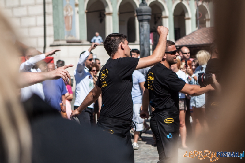 IV Poznański Bieg Kelnerów Vine Bridge - Stary Rynek 17.08.2013 r. Foto: LepszyPOZNAN.pl / Paweł Rychter IV Poznański Bieg Kelnerów Vine Bridge - Stary Rynek 17.08.2013 r. Foto: LepszyPOZNAN.pl / Paweł Rychter