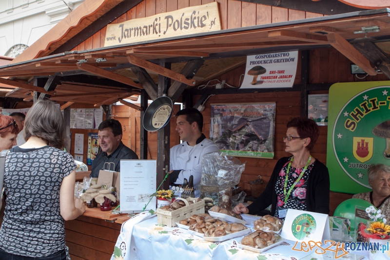 Festiwal Dobrzego Smatuk 2013 - Poznań 15.08.2013 r. Foto: LepszyPOZNAN.pl / Paweł Rychter Festiwal Dobrzego Smatuk 2013 - Poznań 15.08.2013 r. Foto: LepszyPOZNAN.pl / Paweł Rychter