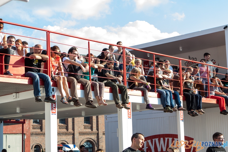 Męskie Granie 2013 - Poznań 10.08.2013 r. Foto: LepszyPOZNAN.pl / Paweł Rychter Męskie Granie 2013 - Poznań 10.08.2013 r. Foto: LepszyPOZNAN.pl / Paweł Rychter