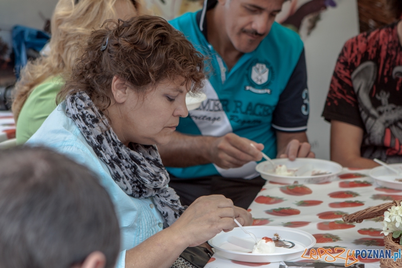 Festiwal Dobrzego Smatuk 2013 - Poznań 15.08.2013 r. Foto: LepszyPOZNAN.pl / Paweł Rychter Festiwal Dobrzego Smatuk 2013 - Poznań 15.08.2013 r. Foto: LepszyPOZNAN.pl / Paweł Rychter