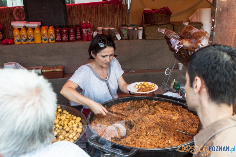Festiwal Dobrzego Smatuk 2013 - Poznań 15.08.2013 r. Foto: LepszyPOZNAN.pl / Paweł Rychter Festiwal Dobrzego Smatuk 2013 - Poznań 15.08.2013 r. Foto: LepszyPOZNAN.pl / Paweł Rychter