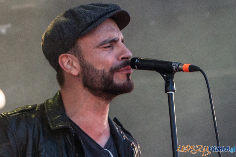 Męskie Granie 2013 (Kim Nowak) - Poznań 10.08.2013 r. Foto: LepszyPOZNAN.pl / Paweł Rychter Męskie Granie 2013 (Kim Nowak) - Poznań 10.08.2013 r. Foto: LepszyPOZNAN.pl / Paweł Rychter